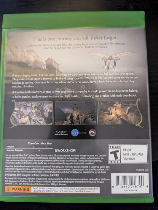 Brothers A Tale of Two Sons